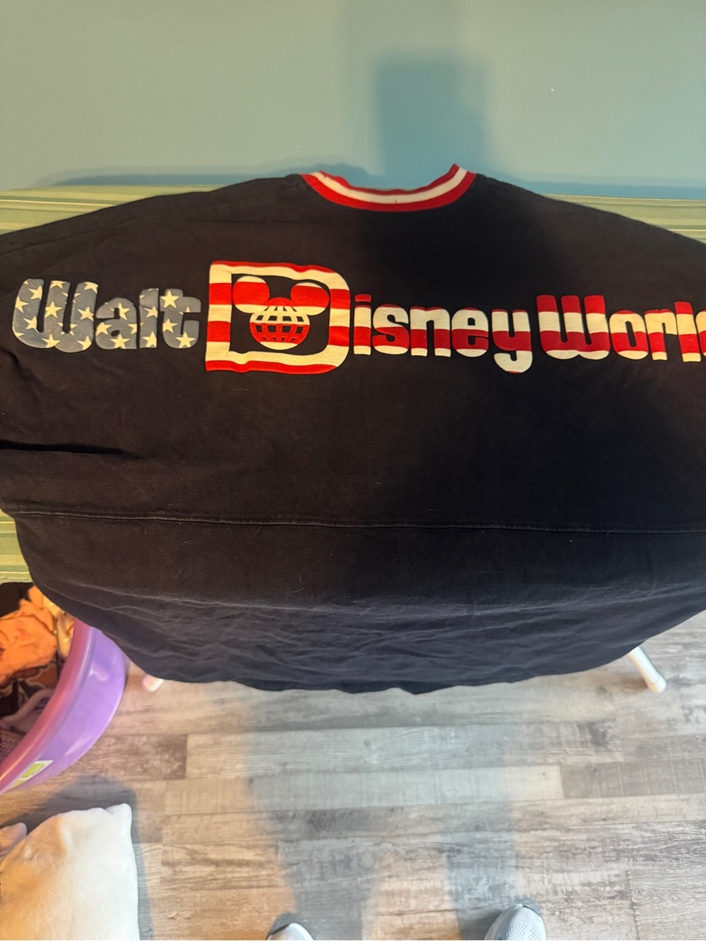 Disney World Spirit Jersey USA 250 Patriot Small